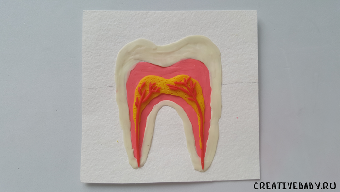 Имплантация зубов: титан против циркония